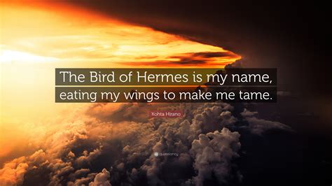 the birds of hermes|the bird of hermes is my name eating wings.